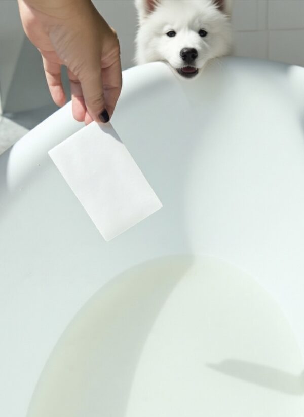 白寓寵物五合一洗毛紙 Maison Blanc 5 in 1 pet shampoo sheet