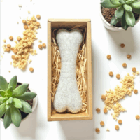 白寓Os奧茲骨