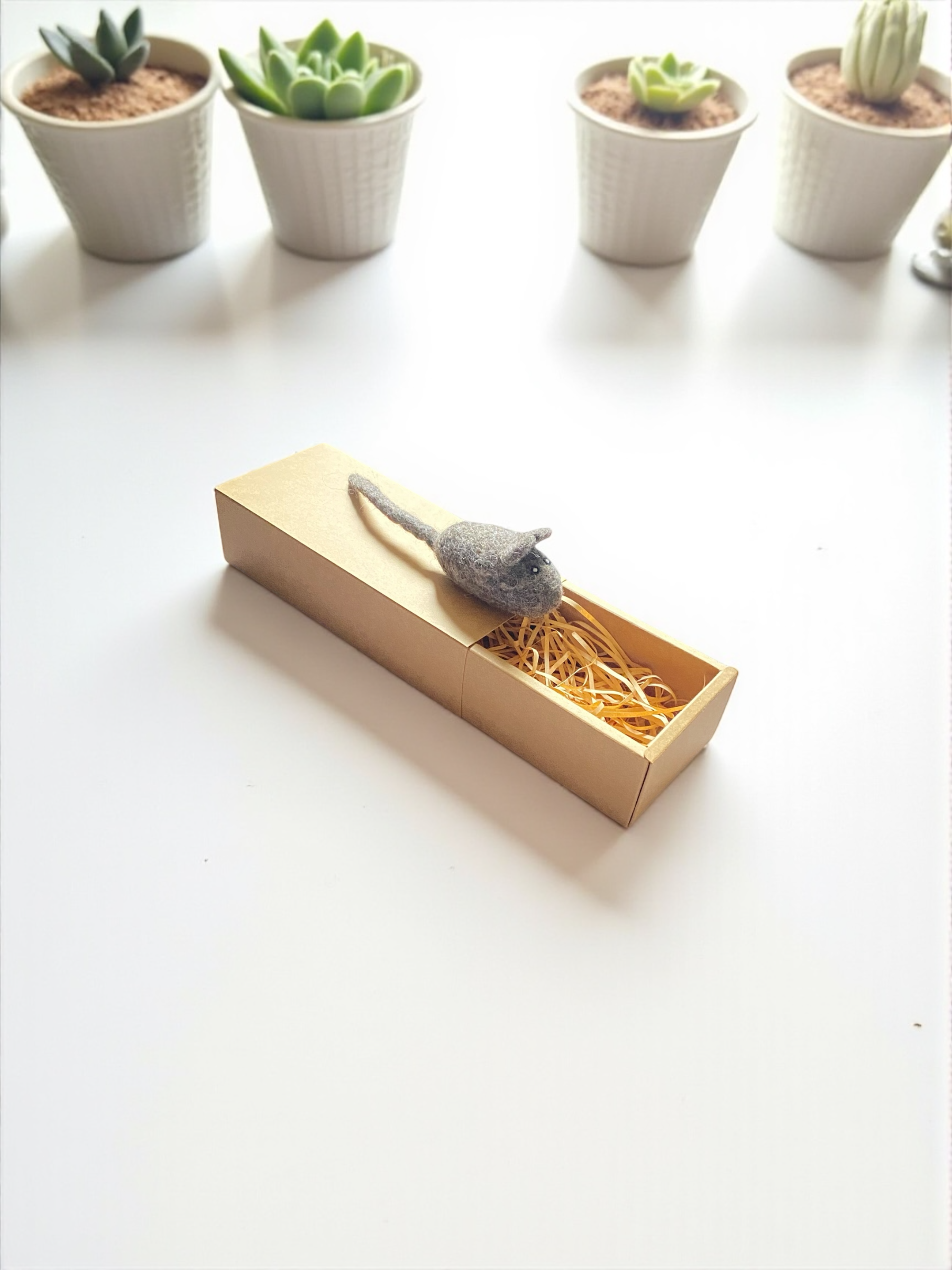 白寓Souris蘇利鼠